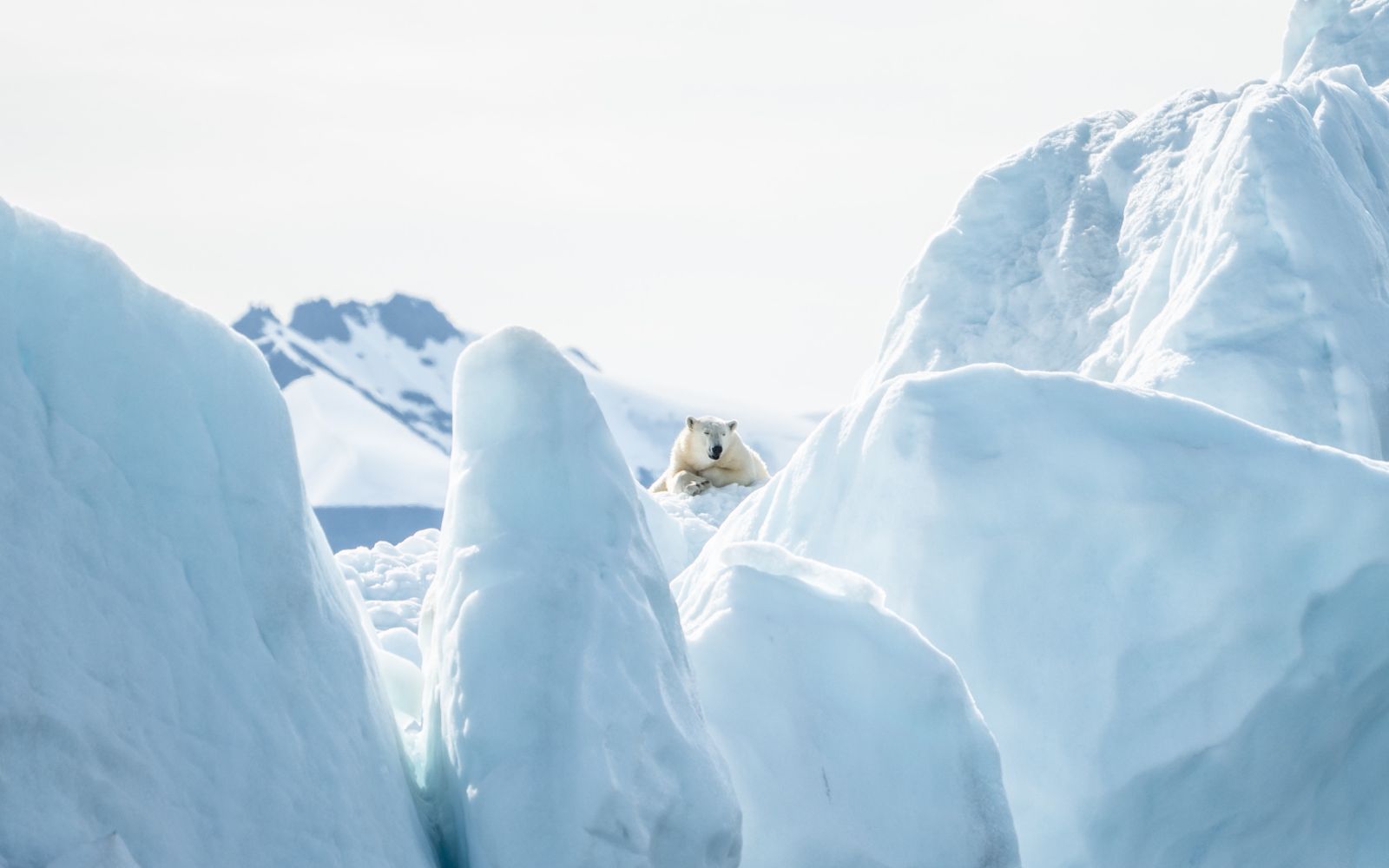 Svalbard in motoslitta