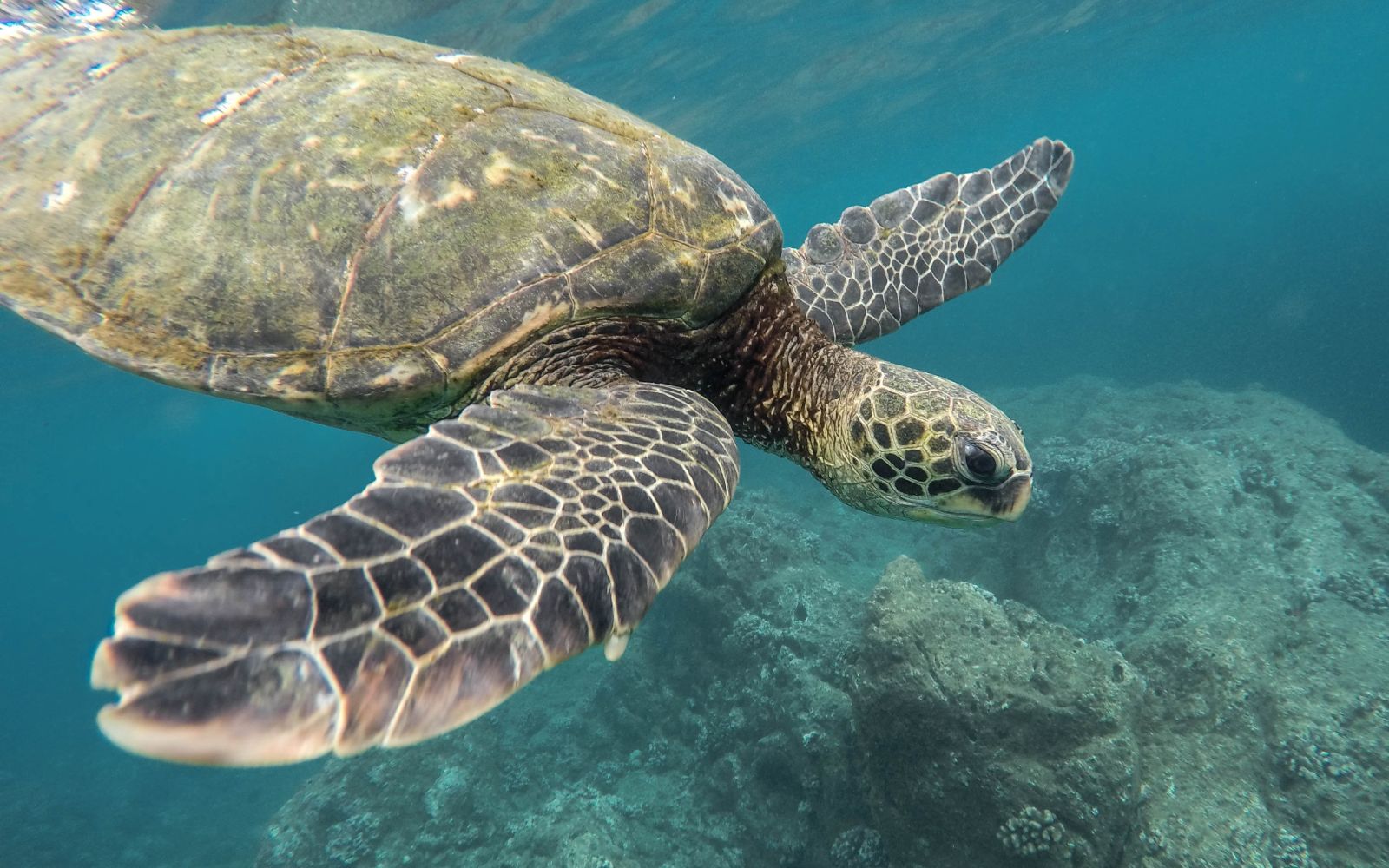 Viaggi di gruppo Ecuador e Isole Galapagos