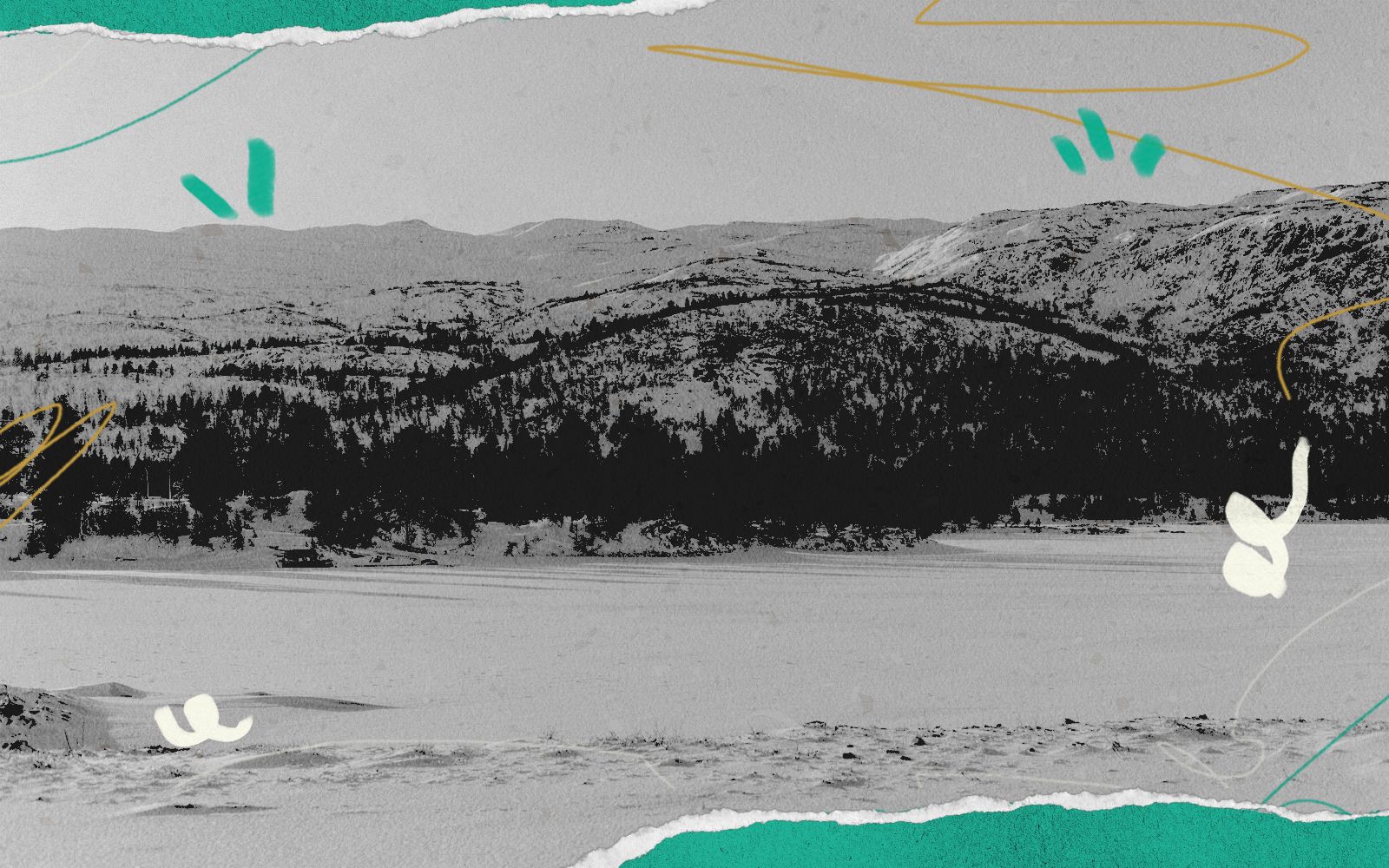 Black Friday e viaggi di gruppo: un inverno di avventure condivise