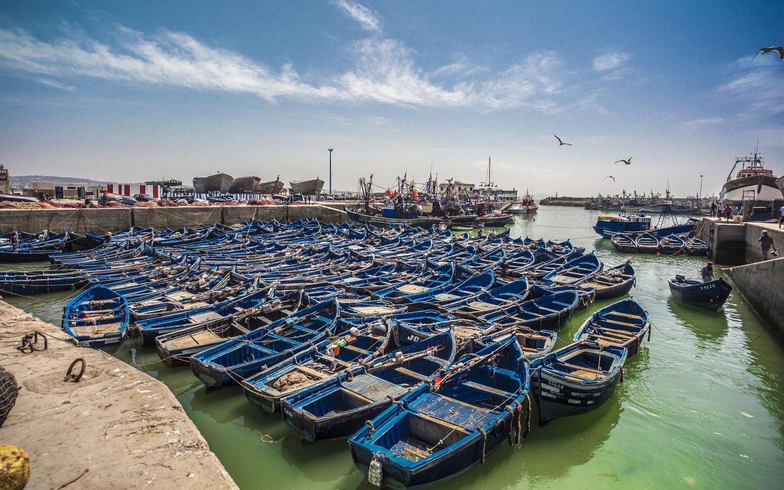 cosa-fare-essaouira