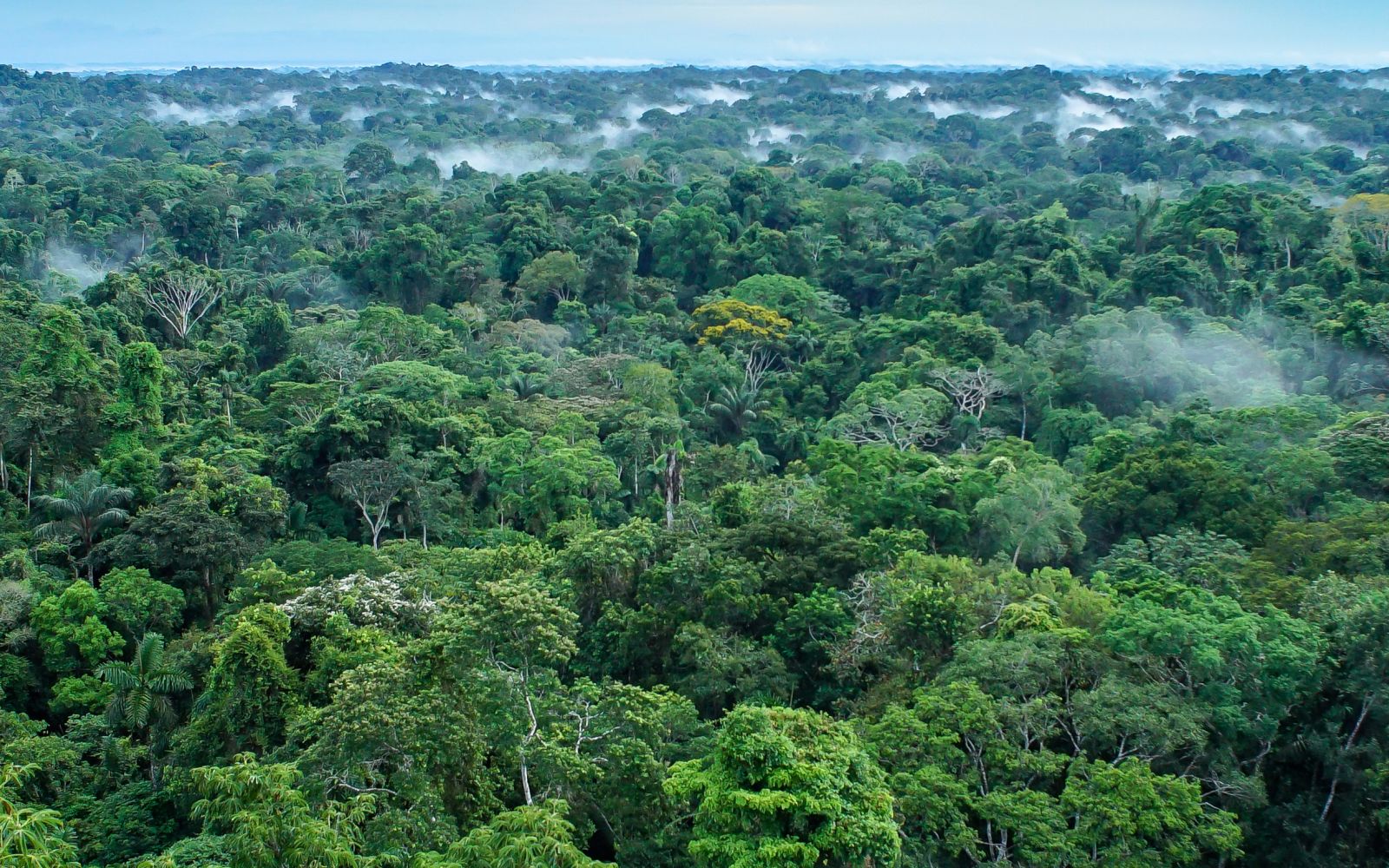 Perù & Amazzonia