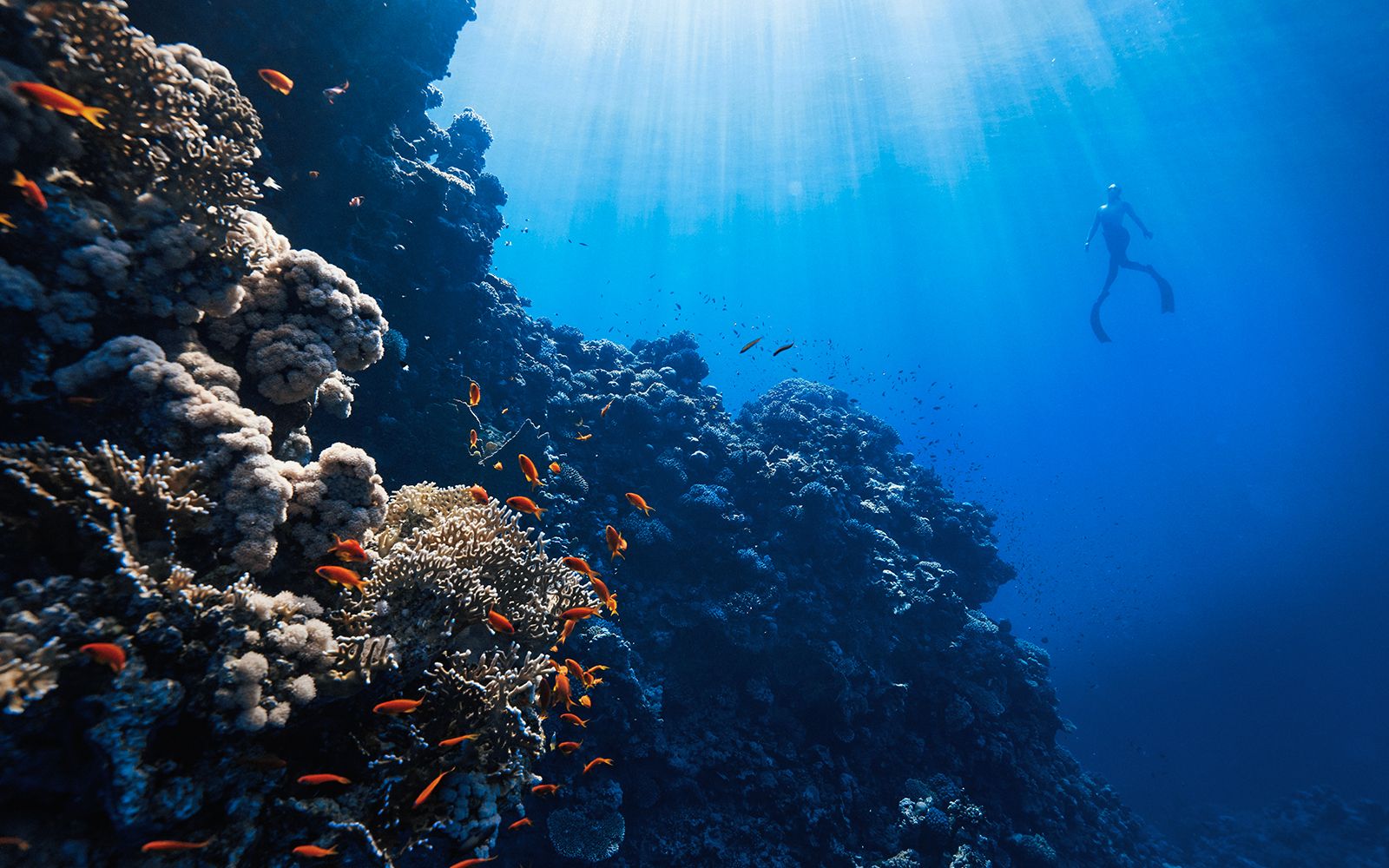 Viaggi di gruppo gennaio: mete consigliate 2026