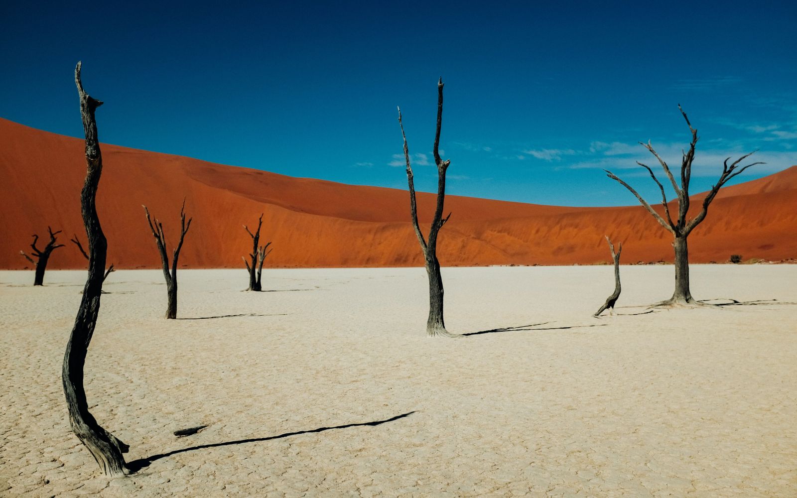 Namibia Safari