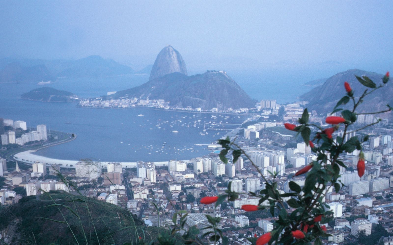 Brasile: Rio, Bahia e la rotta Diamantina
