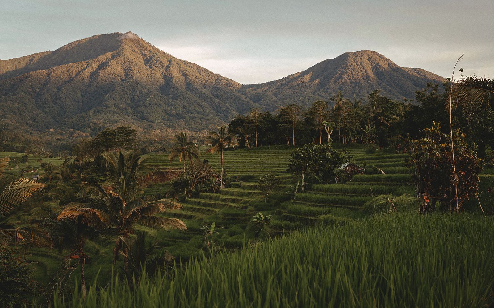 Guida completa per un indimenticabile viaggio in Indonesia