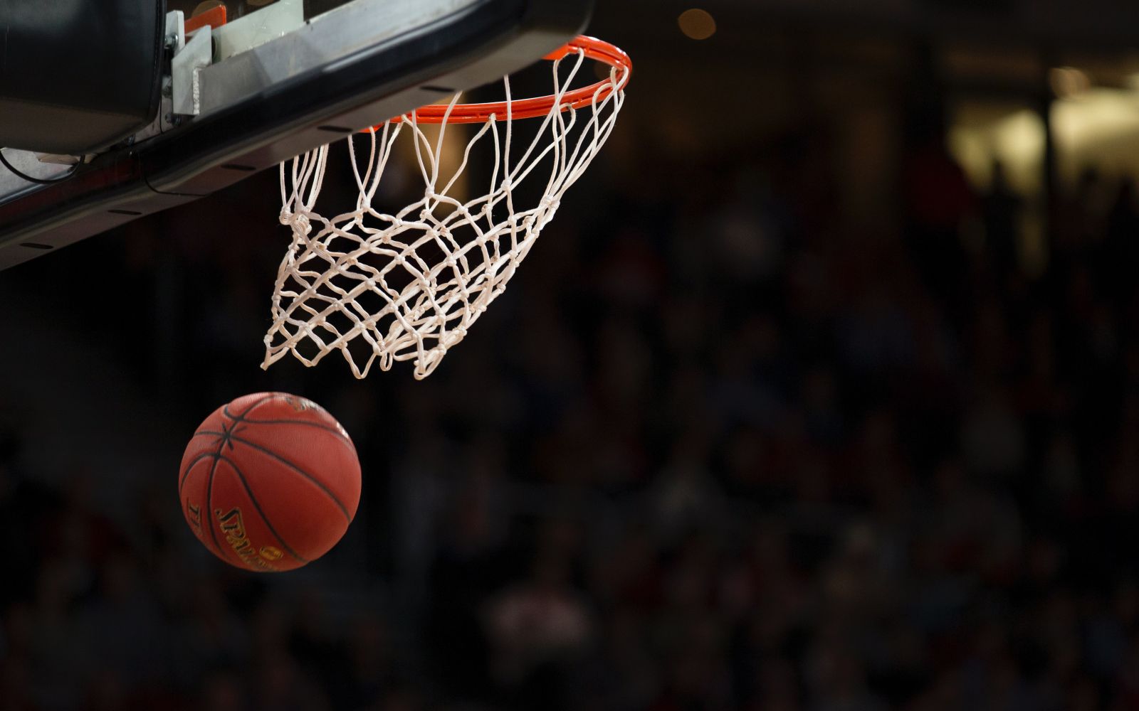 New York NBA Tour