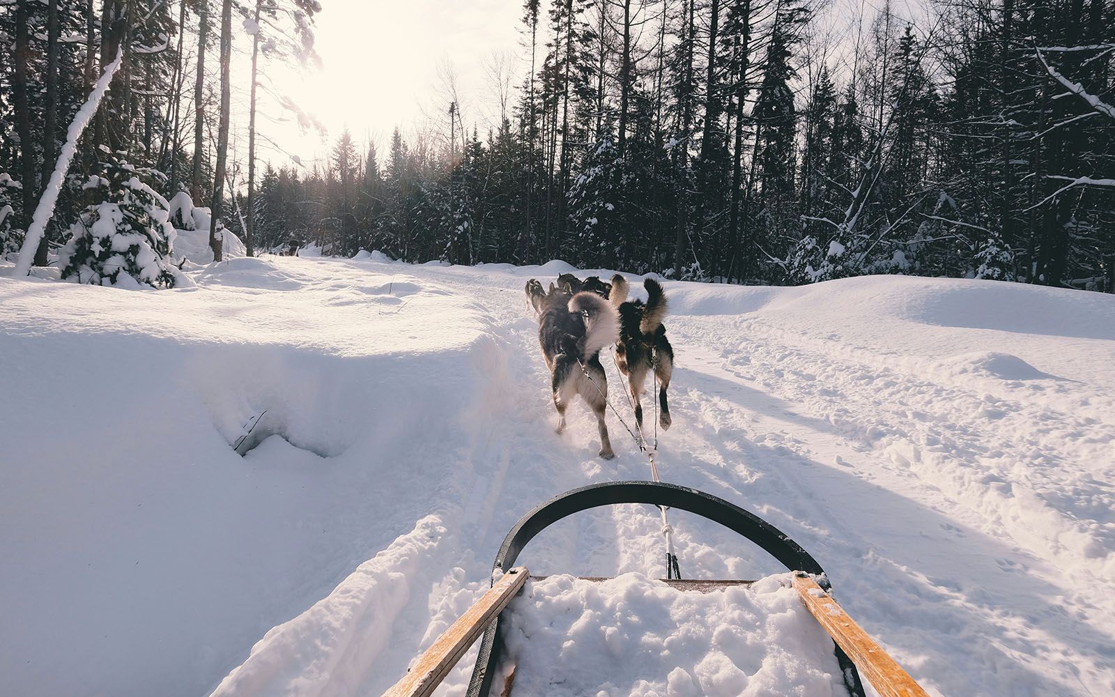 5 esperienze incredibili da vivere in un road trip tra Svezia e Finlandia