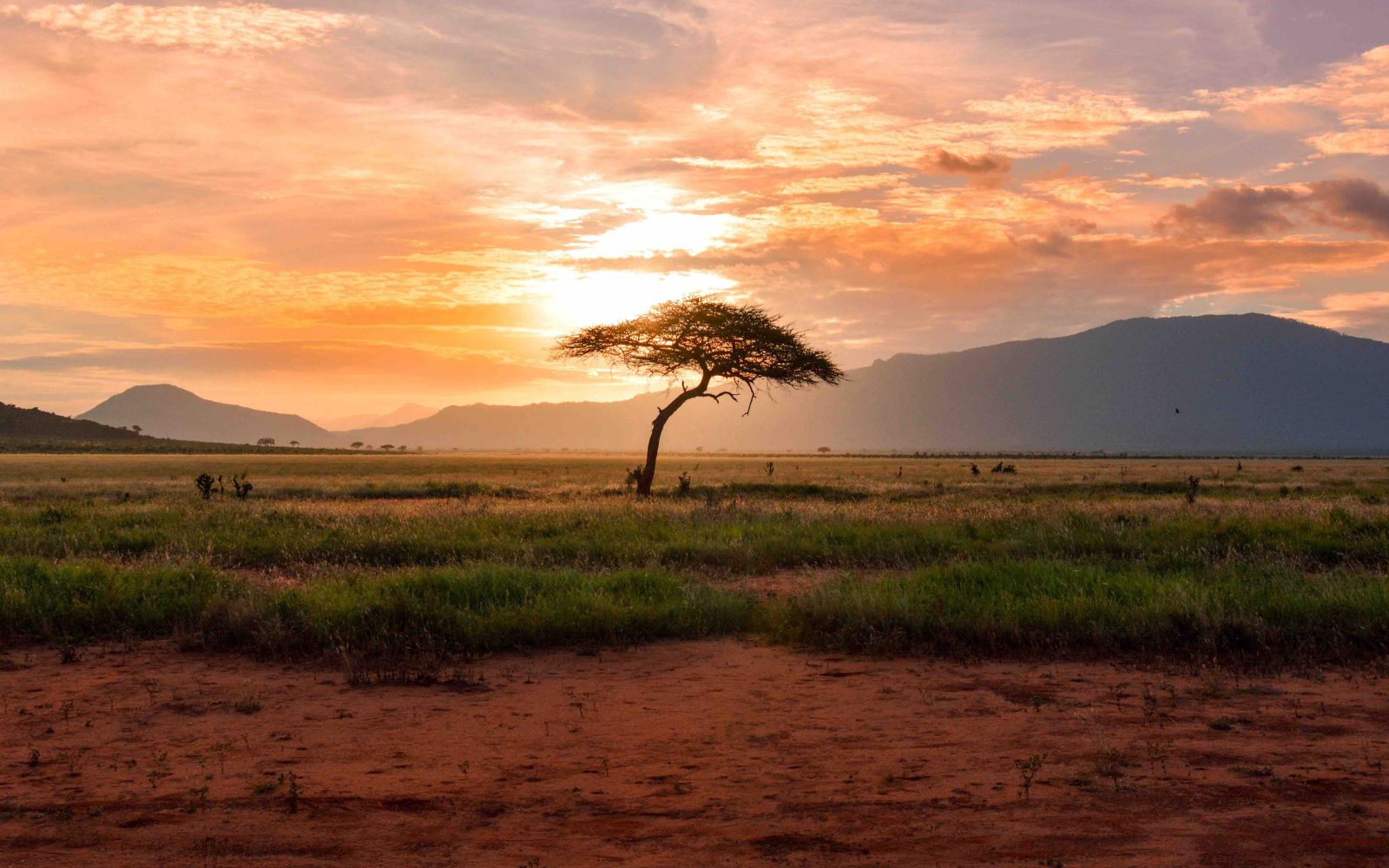 Viaggi di gruppo in Africa