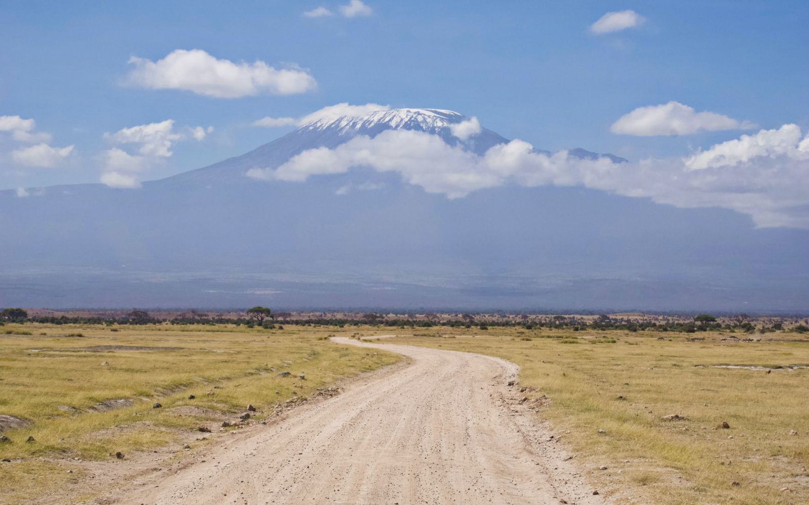 Amboseli