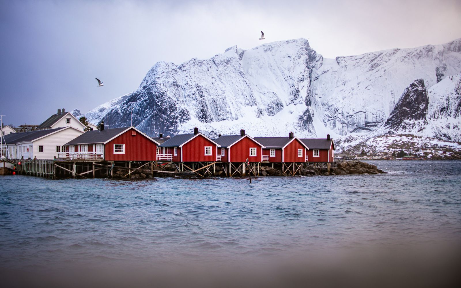 Viaggio di gruppo in Norvegia e Isole Lofoten