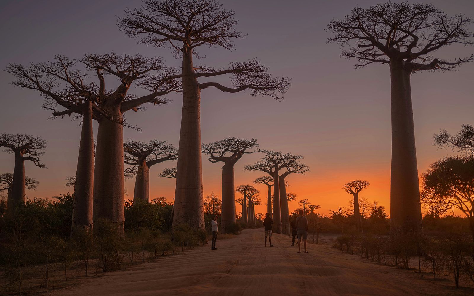 Viaggio di gruppo in Madagascar