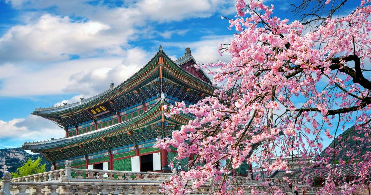 Viaggio in Corea del Sud