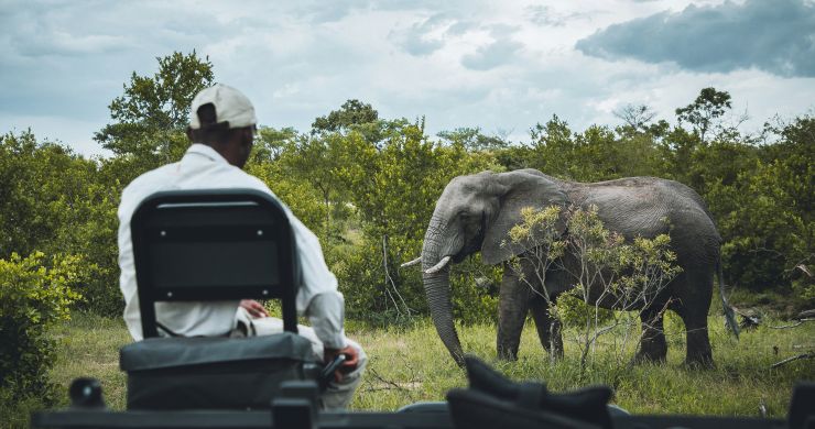 Viaggio di gruppo in Sudafrica