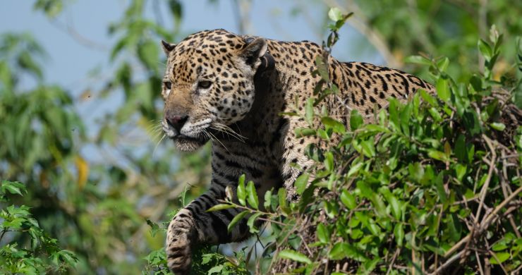 Viaggio di Gruppo in Brasile