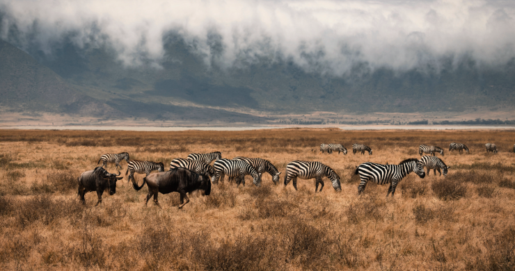 viaggio di gruppo tanzania e zanzibar