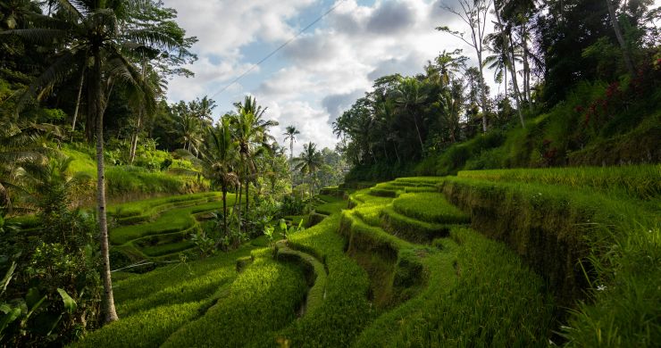 Indonesia: Bali e Gili