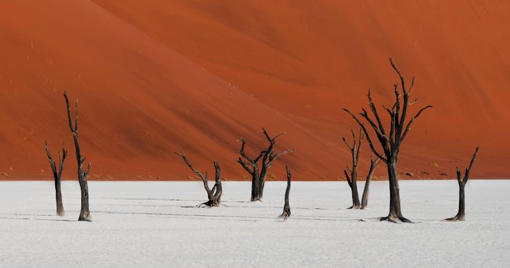 Namibia Safari