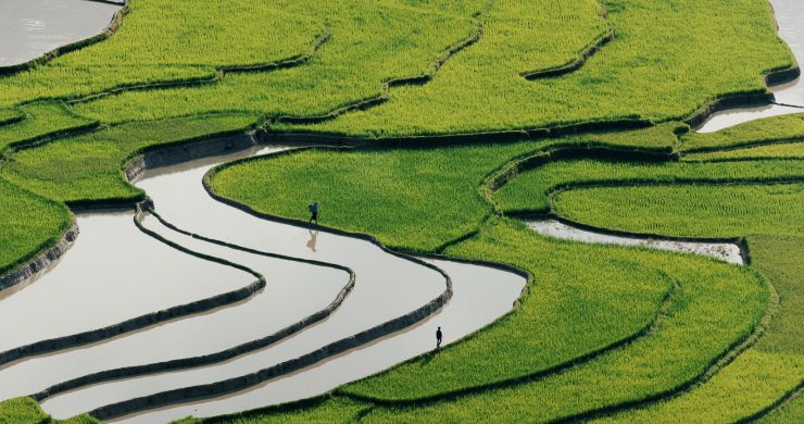 Vietnam on the road