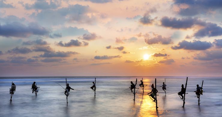 Viaggio di gruppo in Sri Lanka