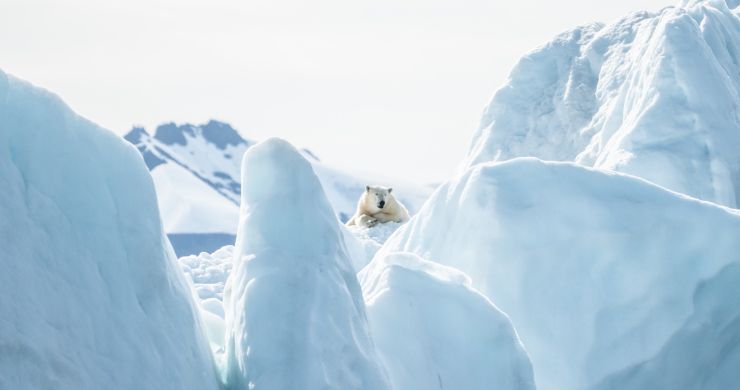 Svalbard in motoslitta