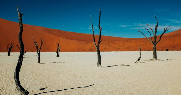 Namibia Safari